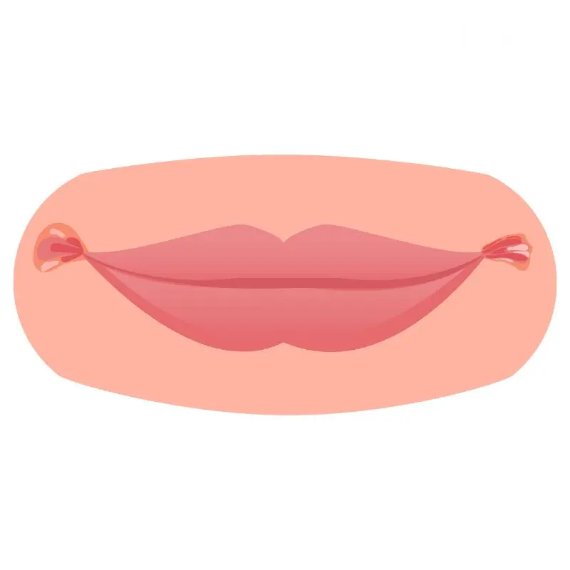 Category